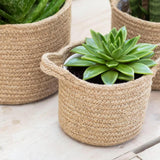 Set of Three Jute Woven Plant Pots from Garden Trading