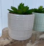 Set of Two Artificial Cactus