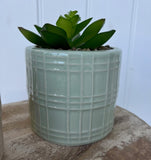 Set of Two Artificial Cactus