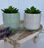 Set of Two Artificial Cactus